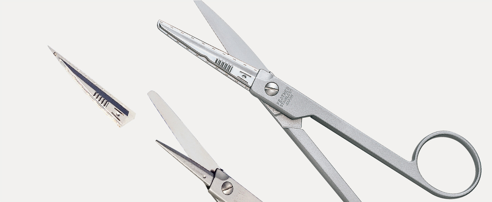 Replaceable blade Scissors